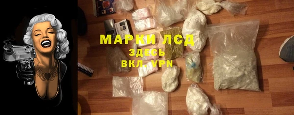 СК Алексин