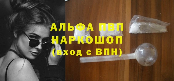 СК Алексин