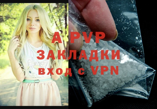 СК Алексин