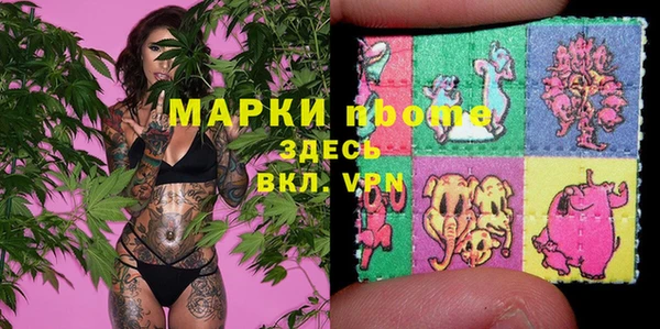 СК Алексин