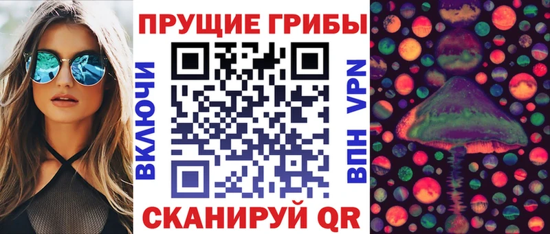Галлюциногенные грибы прущие грибы  гидра маркетплейс  Вилючинск 